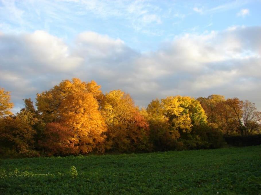 Superbe Appartement Dans Charmant Corps De Ferme Acheres-la-Foret ภายนอก รูปภาพ